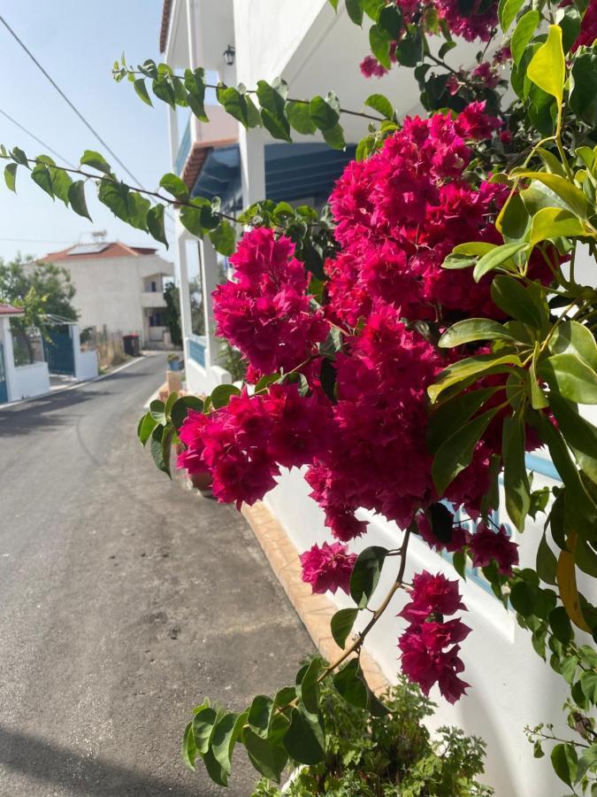Studio Mare Megalochori  المظهر الخارجي الصورة